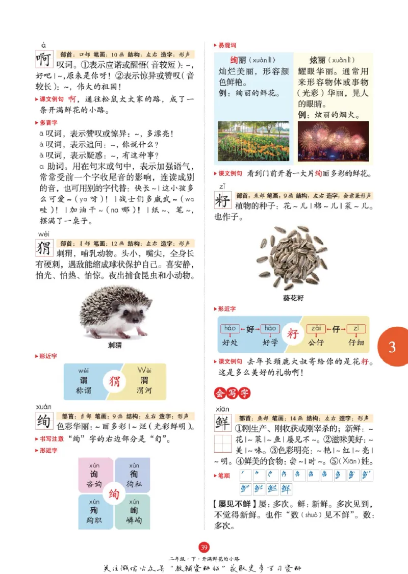 绘本课堂二年级下册语文部编版J1_二年级上下册资料_小学二年级学习资料-25年更新版_2-02、小学二年级语文下册_2-2-2、练习题、作业、试题、试卷_电子册类