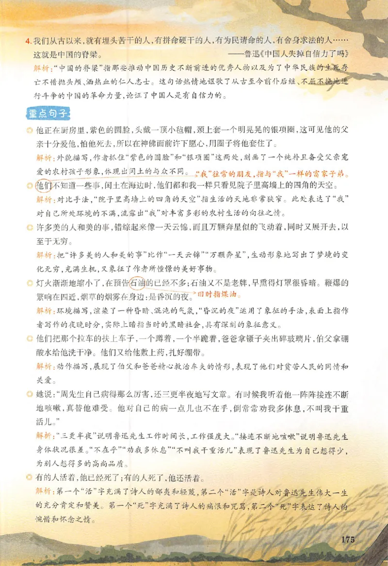 预习笔记六年级_25秋《一本预习笔记》语数外，人教，北师1-6上_25秋《一本预习笔记》语文1-6_六年级预习笔记语文