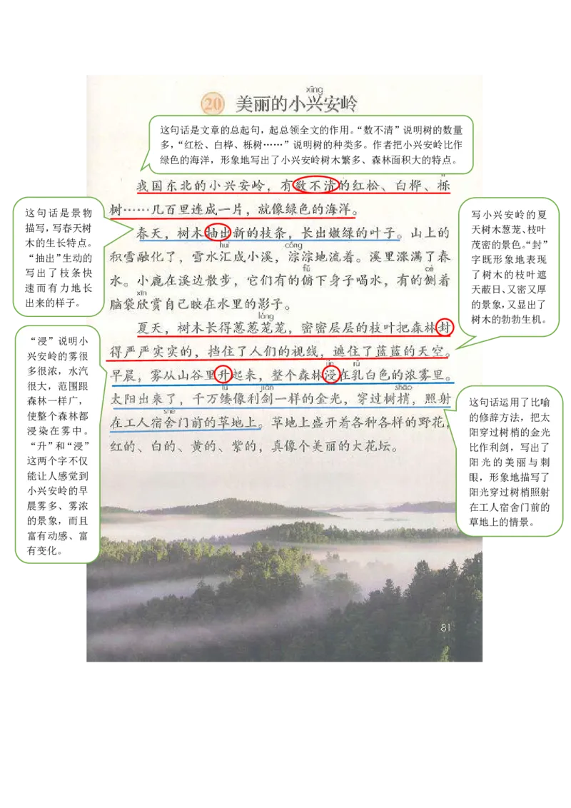 部编版三（上）全册课堂笔记_三年级上下册资料_小学三年级学习资料-25年更新版_3-01、小学三年级语文上册_3-1-1、复习、知识点、归纳汇总