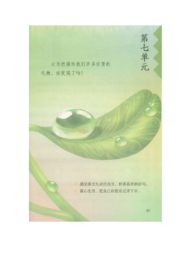 部编版三（上）全册课堂笔记_三年级上下册资料_小学三年级学习资料-25年更新版_3-01、小学三年级语文上册_3-1-1、复习、知识点、归纳汇总