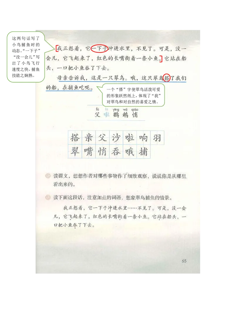 部编版三（上）全册课堂笔记_三年级上下册资料_小学三年级学习资料-25年更新版_3-01、小学三年级语文上册_3-1-1、复习、知识点、归纳汇总