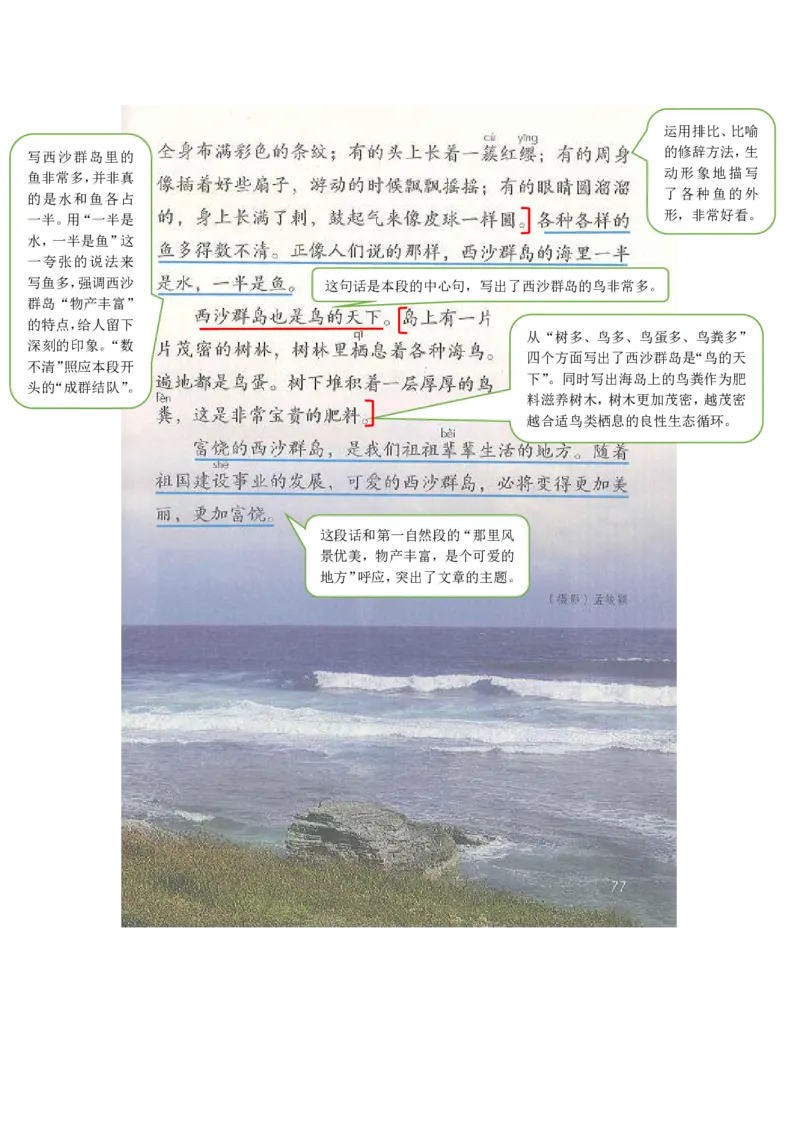 部编版三（上）全册课堂笔记_三年级上下册资料_小学三年级学习资料-25年更新版_3-01、小学三年级语文上册_3-1-1、复习、知识点、归纳汇总