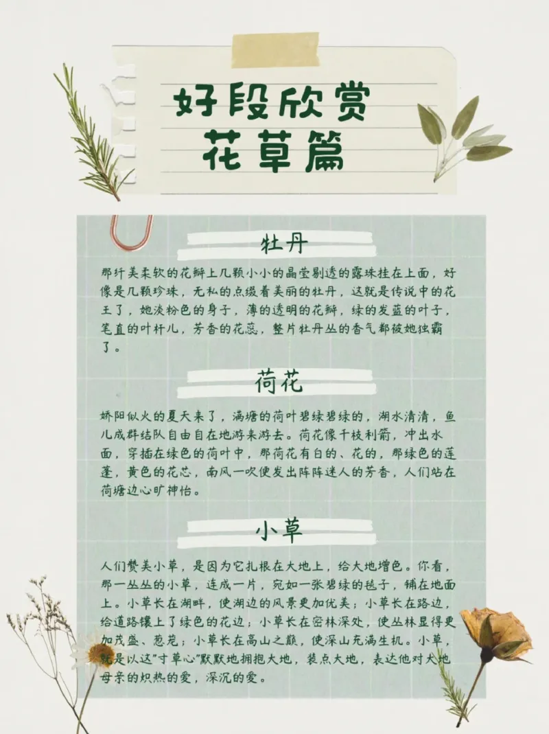 每日晨读（好段欣赏）16页_三年级上下册资料_小学三年级学习资料-25年更新版_3-01、小学三年级语文上册_3-1-5、字贴、书写、晨读_每日晨读