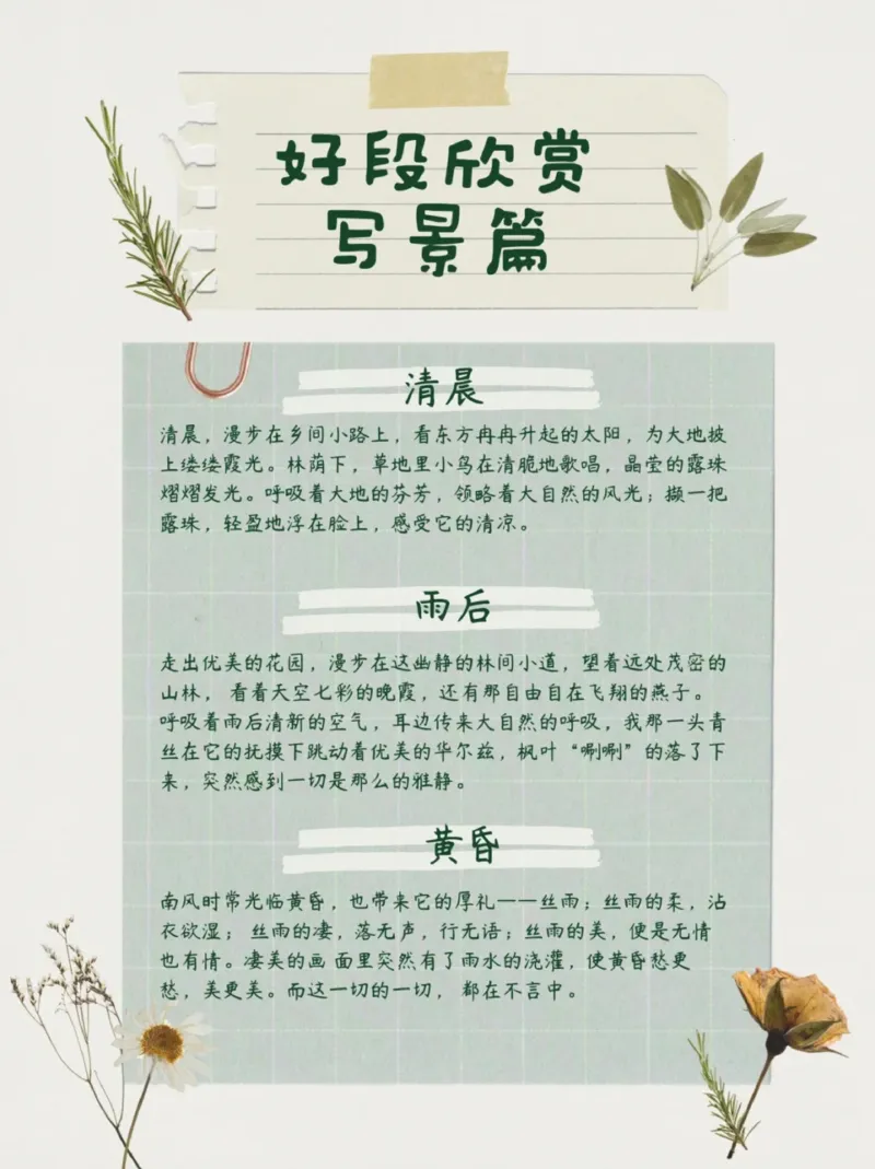 每日晨读（好段欣赏）16页_三年级上下册资料_小学三年级学习资料-25年更新版_3-01、小学三年级语文上册_3-1-5、字贴、书写、晨读_每日晨读