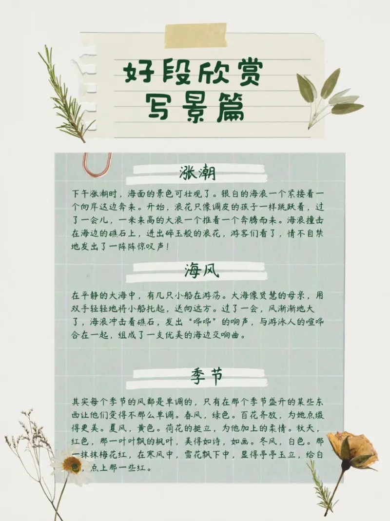 每日晨读（好段欣赏）16页_三年级上下册资料_小学三年级学习资料-25年更新版_3-01、小学三年级语文上册_3-1-5、字贴、书写、晨读_每日晨读