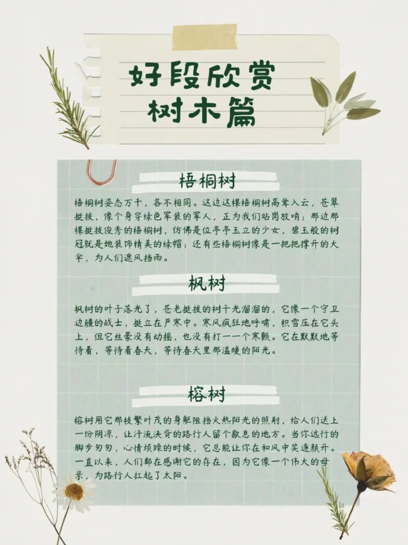 每日晨读（好段欣赏）16页_三年级上下册资料_小学三年级学习资料-25年更新版_3-01、小学三年级语文上册_3-1-5、字贴、书写、晨读_每日晨读