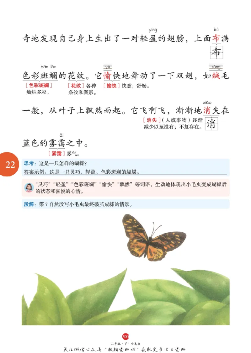 绘本课堂二年级下册语文部编版J2_二年级上下册资料_小学二年级学习资料-25年更新版_2-02、小学二年级语文下册_2-2-2、练习题、作业、试题、试卷_电子册类
