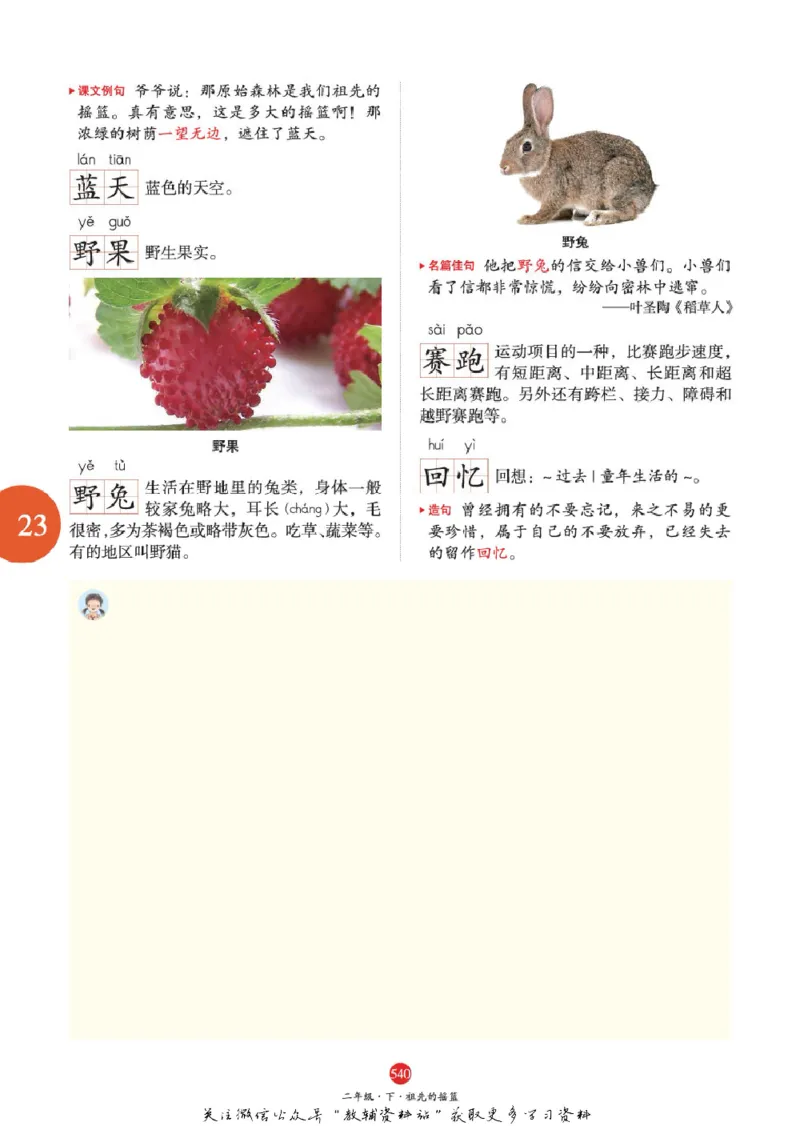 绘本课堂二年级下册语文部编版J2_二年级上下册资料_小学二年级学习资料-25年更新版_2-02、小学二年级语文下册_2-2-2、练习题、作业、试题、试卷_电子册类