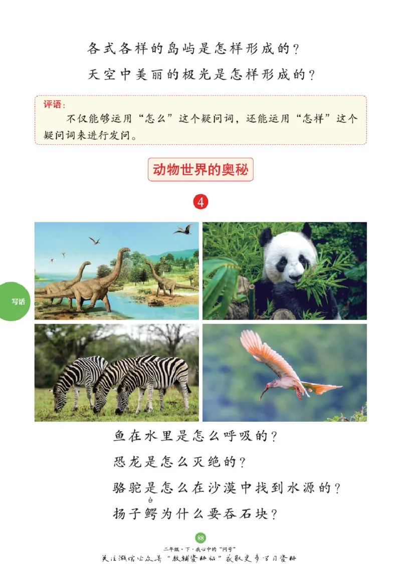 绘本课堂二年级下册语文部编版C_二年级上下册资料_小学二年级学习资料-25年更新版_2-02、小学二年级语文下册_2-2-2、练习题、作业、试题、试卷_电子册类_《绘本课堂》语文2年级下册（RJ）