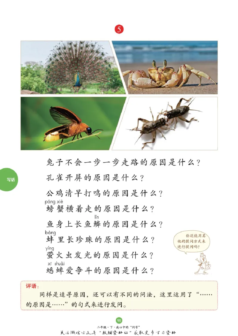 绘本课堂二年级下册语文部编版C_二年级上下册资料_小学二年级学习资料-25年更新版_2-02、小学二年级语文下册_2-2-2、练习题、作业、试题、试卷_电子册类_《绘本课堂》语文2年级下册（RJ）