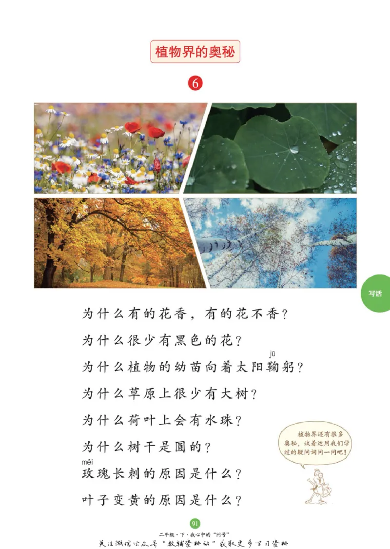 绘本课堂二年级下册语文部编版C_二年级上下册资料_小学二年级学习资料-25年更新版_2-02、小学二年级语文下册_2-2-2、练习题、作业、试题、试卷_电子册类_《绘本课堂》语文2年级下册（RJ）