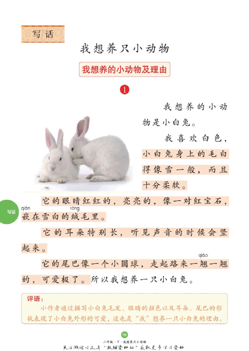 绘本课堂二年级下册语文部编版C_二年级上下册资料_小学二年级学习资料-25年更新版_2-02、小学二年级语文下册_2-2-2、练习题、作业、试题、试卷_电子册类_《绘本课堂》语文2年级下册（RJ）