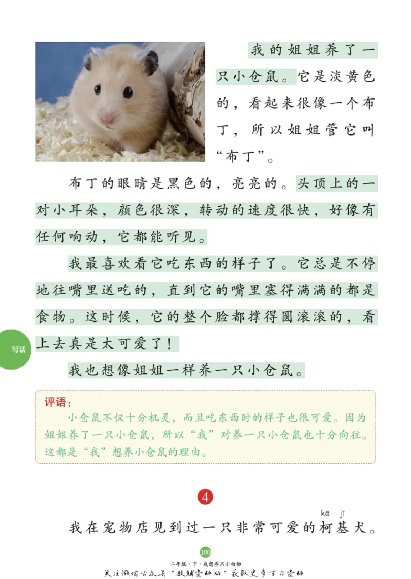 绘本课堂二年级下册语文部编版C_二年级上下册资料_小学二年级学习资料-25年更新版_2-02、小学二年级语文下册_2-2-2、练习题、作业、试题、试卷_电子册类_《绘本课堂》语文2年级下册（RJ）