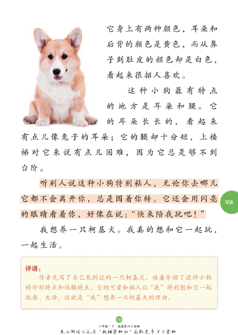 绘本课堂二年级下册语文部编版C_二年级上下册资料_小学二年级学习资料-25年更新版_2-02、小学二年级语文下册_2-2-2、练习题、作业、试题、试卷_电子册类_《绘本课堂》语文2年级下册（RJ）
