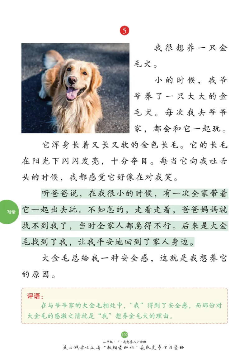 绘本课堂二年级下册语文部编版C_二年级上下册资料_小学二年级学习资料-25年更新版_2-02、小学二年级语文下册_2-2-2、练习题、作业、试题、试卷_电子册类_《绘本课堂》语文2年级下册（RJ）