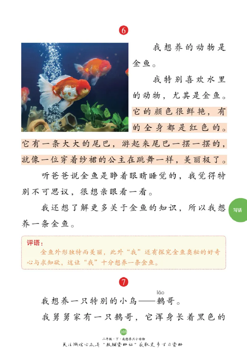 绘本课堂二年级下册语文部编版C_二年级上下册资料_小学二年级学习资料-25年更新版_2-02、小学二年级语文下册_2-2-2、练习题、作业、试题、试卷_电子册类_《绘本课堂》语文2年级下册（RJ）