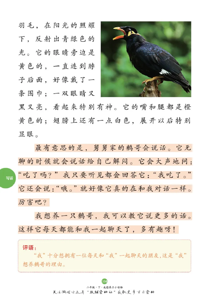 绘本课堂二年级下册语文部编版C_二年级上下册资料_小学二年级学习资料-25年更新版_2-02、小学二年级语文下册_2-2-2、练习题、作业、试题、试卷_电子册类_《绘本课堂》语文2年级下册（RJ）