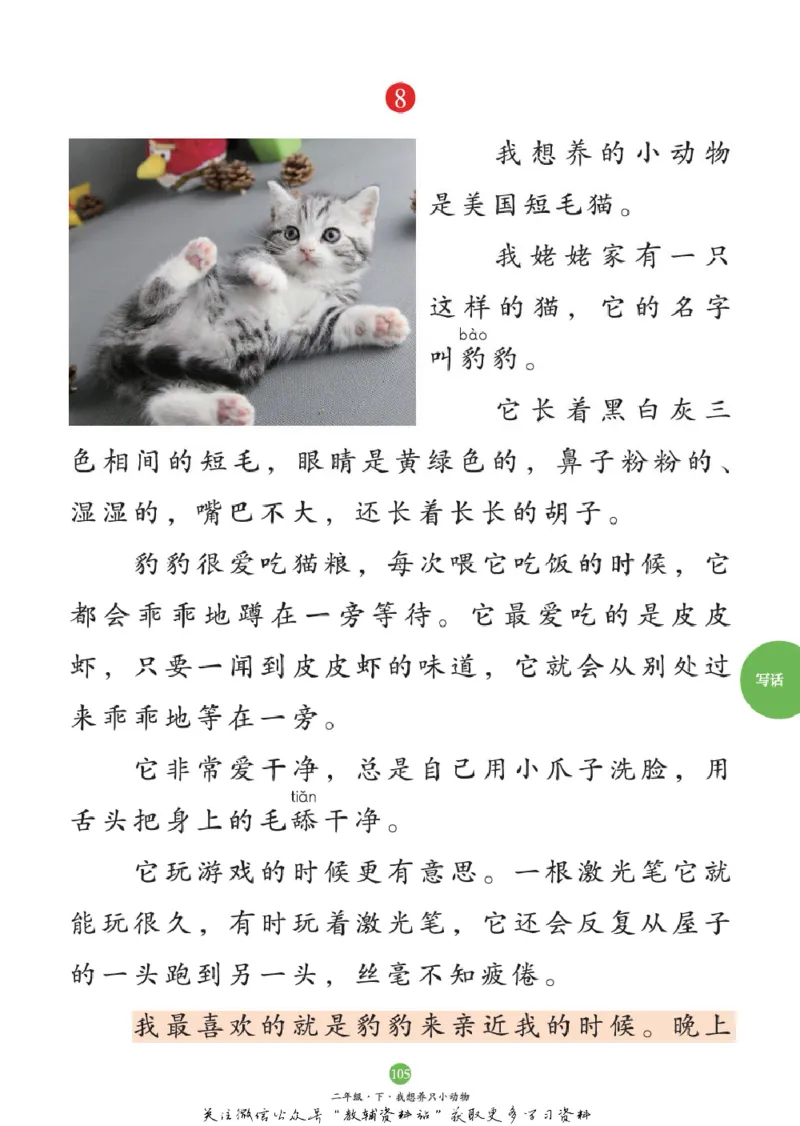 绘本课堂二年级下册语文部编版C_二年级上下册资料_小学二年级学习资料-25年更新版_2-02、小学二年级语文下册_2-2-2、练习题、作业、试题、试卷_电子册类_《绘本课堂》语文2年级下册（RJ）