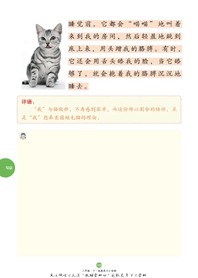 绘本课堂二年级下册语文部编版C_二年级上下册资料_小学二年级学习资料-25年更新版_2-02、小学二年级语文下册_2-2-2、练习题、作业、试题、试卷_电子册类_《绘本课堂》语文2年级下册（RJ）