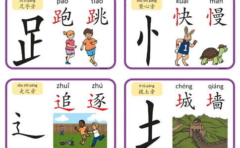 认识部首和偏旁闪卡_一年级上下册资料_小学一年级学习资料-25年更新版_1-00、幼小衔接_幼小衔接识字启蒙篇