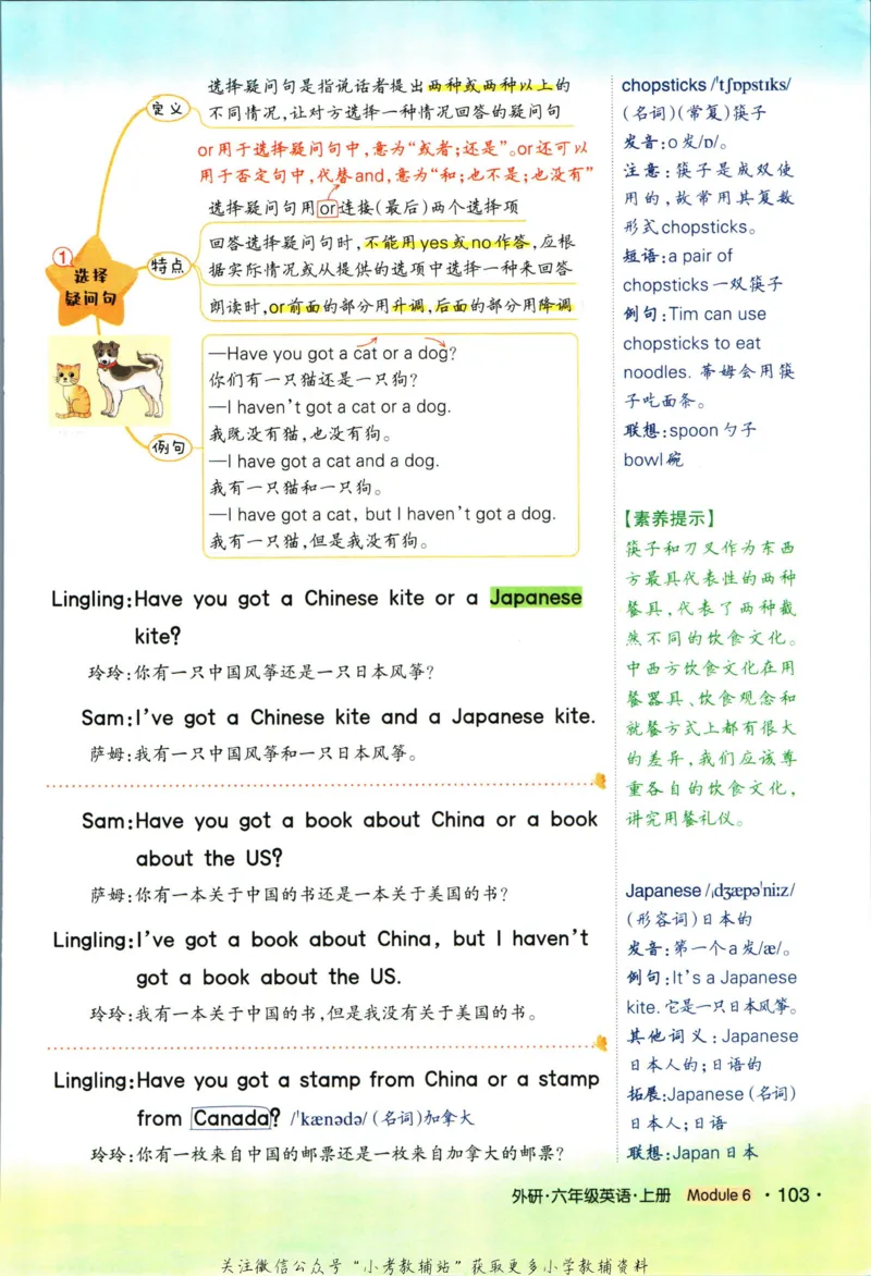 科学苏教版单元测试卷3年级上册_25秋小学语数英习题试卷_科学_25秋苏教版科学3-6