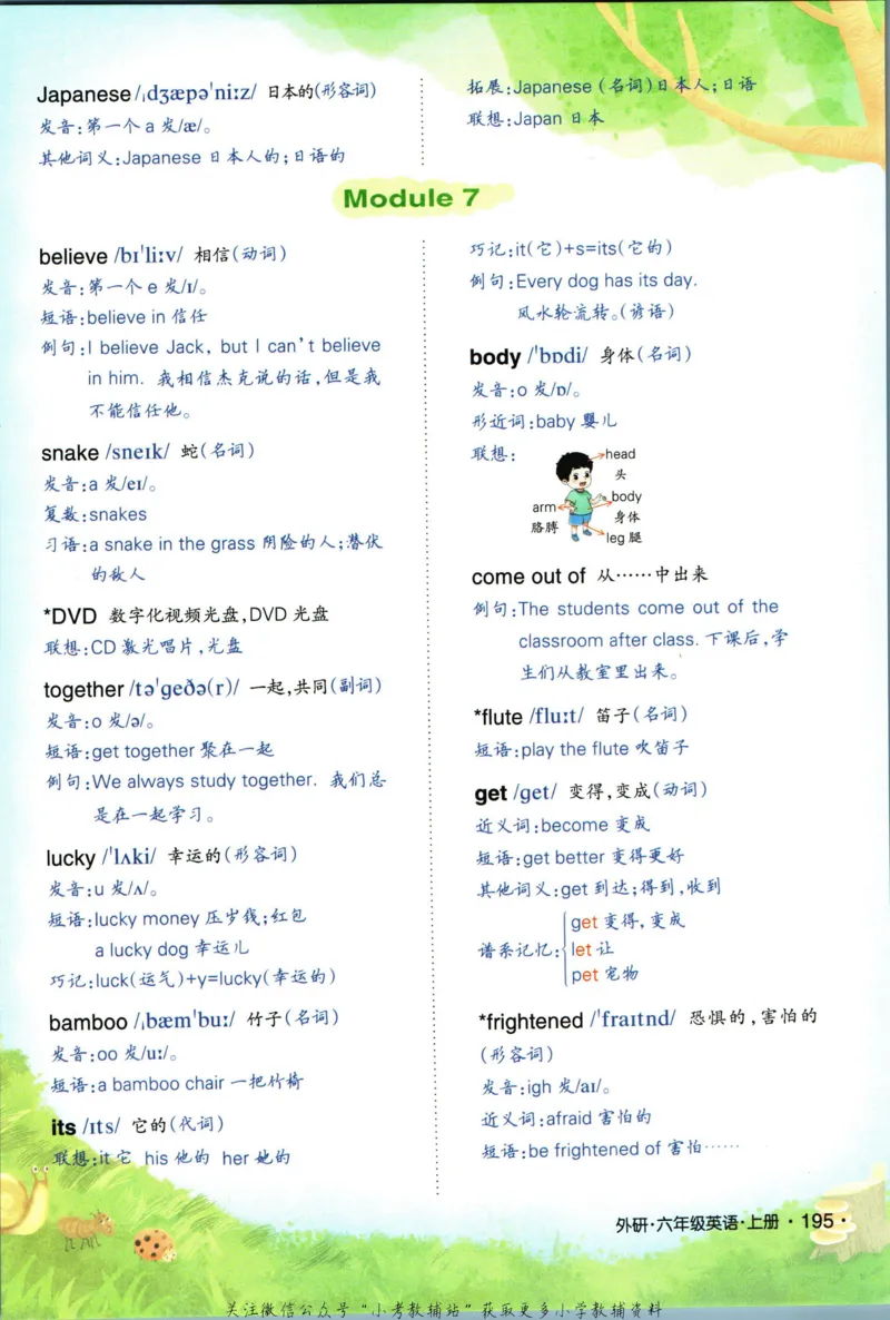 科学苏教版单元测试卷3年级上册_25秋小学语数英习题试卷_科学_25秋苏教版科学3-6