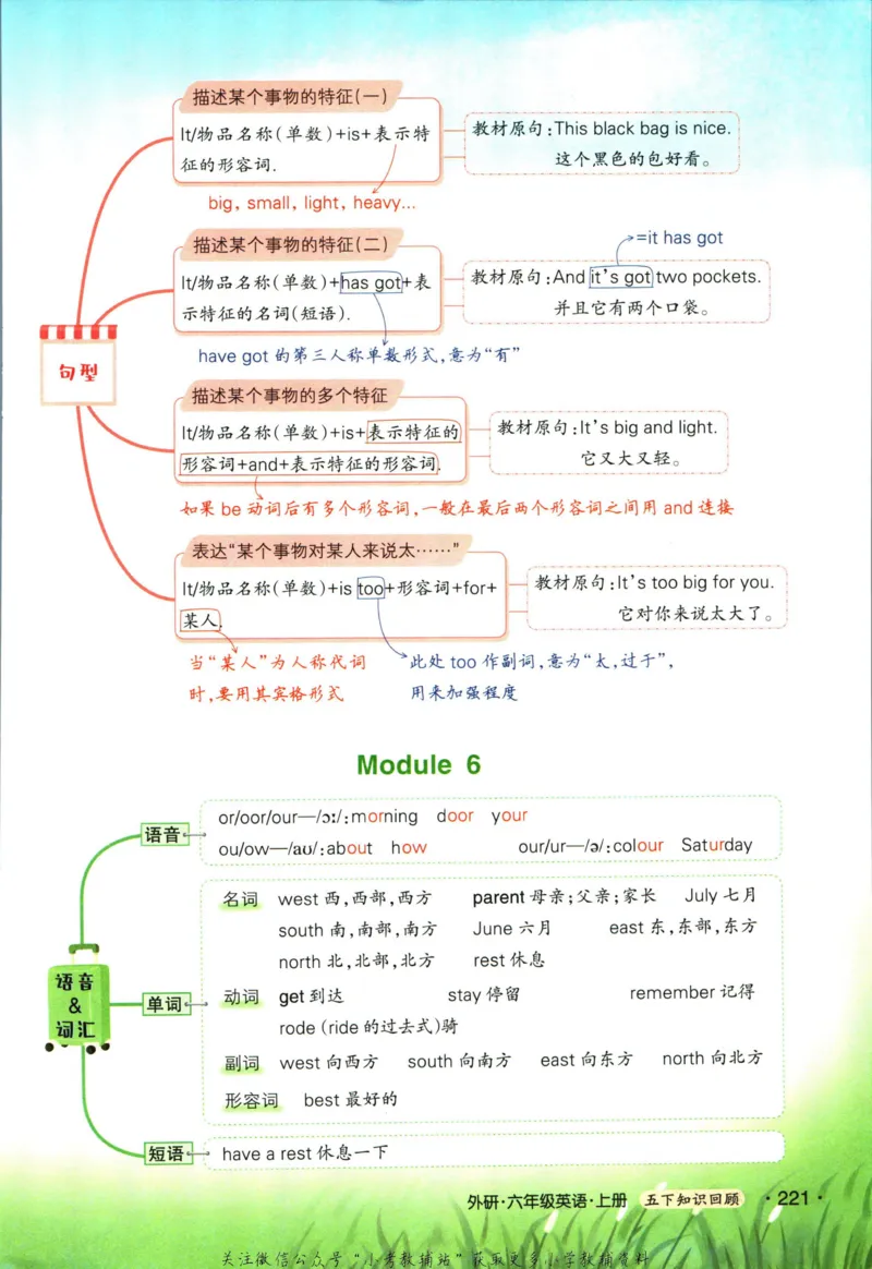 科学苏教版单元测试卷3年级上册_25秋小学语数英习题试卷_科学_25秋苏教版科学3-6