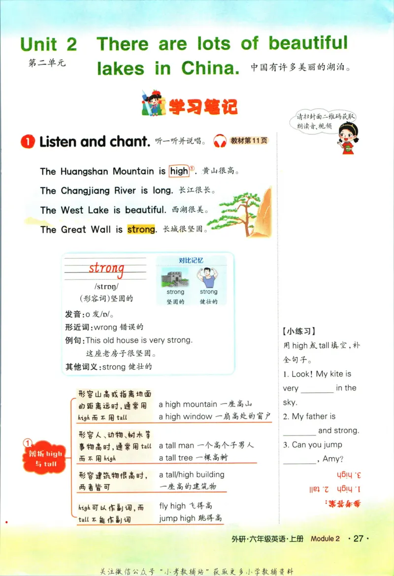 科学苏教版单元测试卷3年级上册_25秋小学语数英习题试卷_科学_25秋苏教版科学3-6