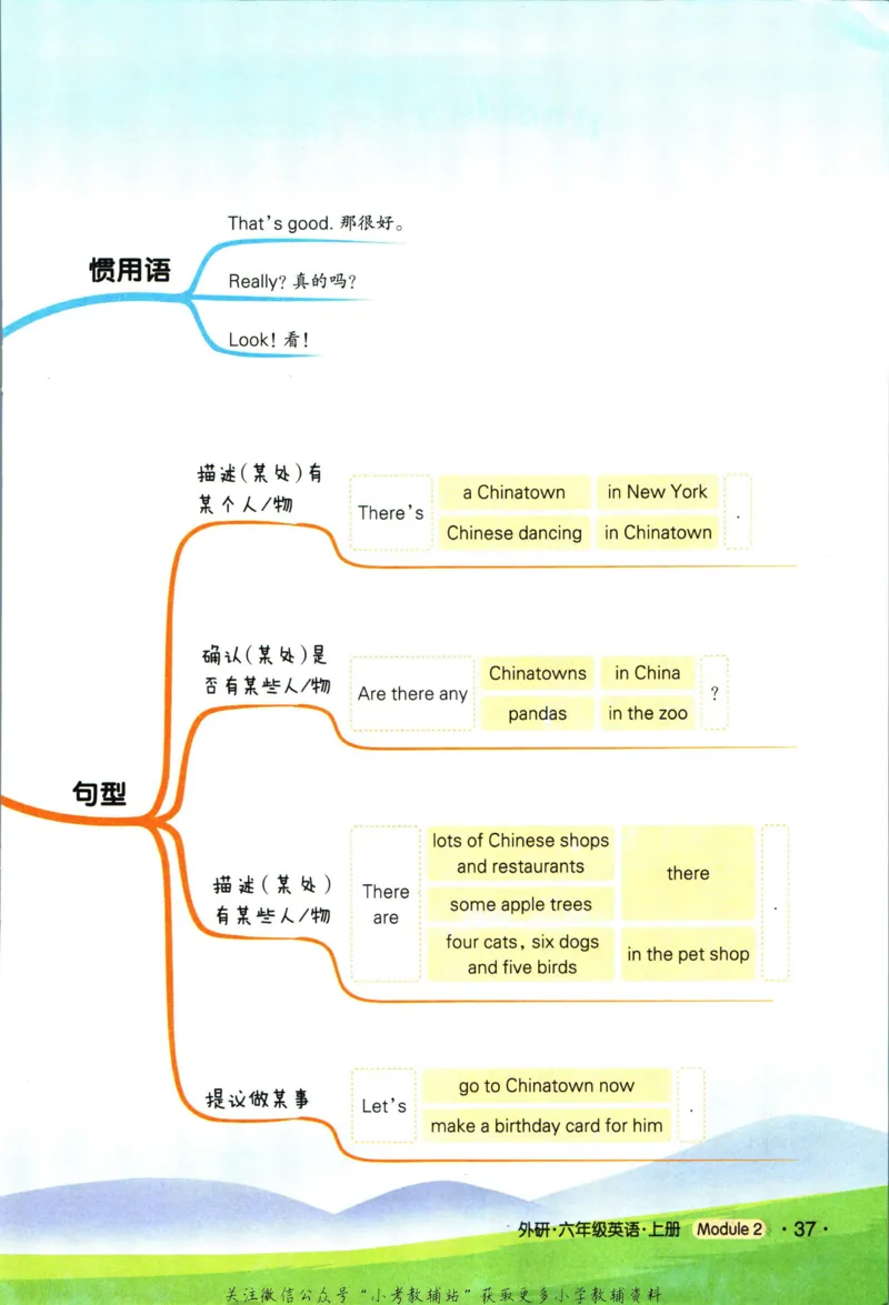 科学苏教版单元测试卷3年级上册_25秋小学语数英习题试卷_科学_25秋苏教版科学3-6