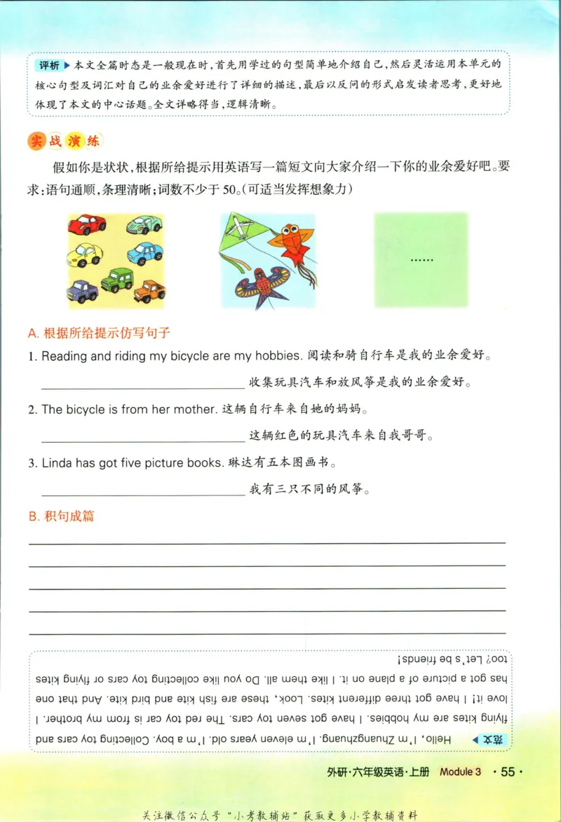 科学苏教版单元测试卷3年级上册_25秋小学语数英习题试卷_科学_25秋苏教版科学3-6