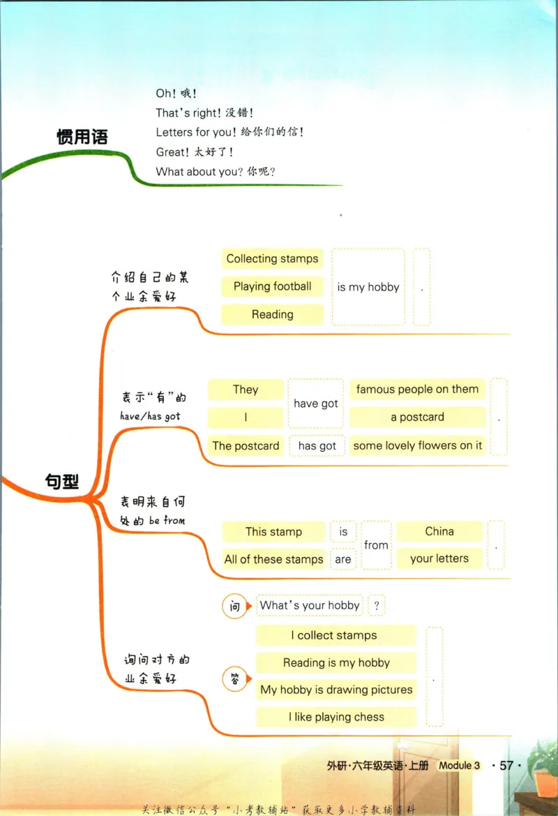科学苏教版单元测试卷3年级上册_25秋小学语数英习题试卷_科学_25秋苏教版科学3-6