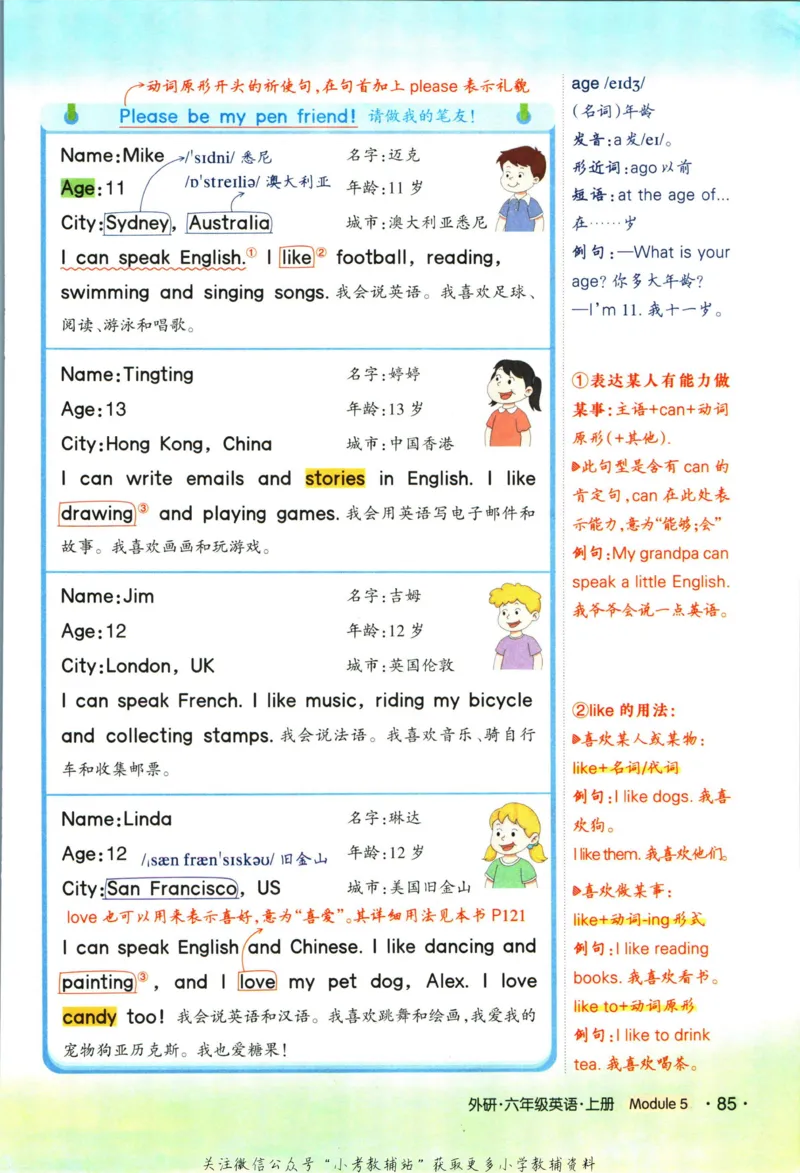 科学苏教版单元测试卷3年级上册_25秋小学语数英习题试卷_科学_25秋苏教版科学3-6