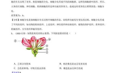 吉林省长春市2022年中考生物试卷(教师版)_吉林省长春市-历年中考真题_9-吉林省长春市-中考生物（21-25）_吉林省长春市2022年中考生物试卷