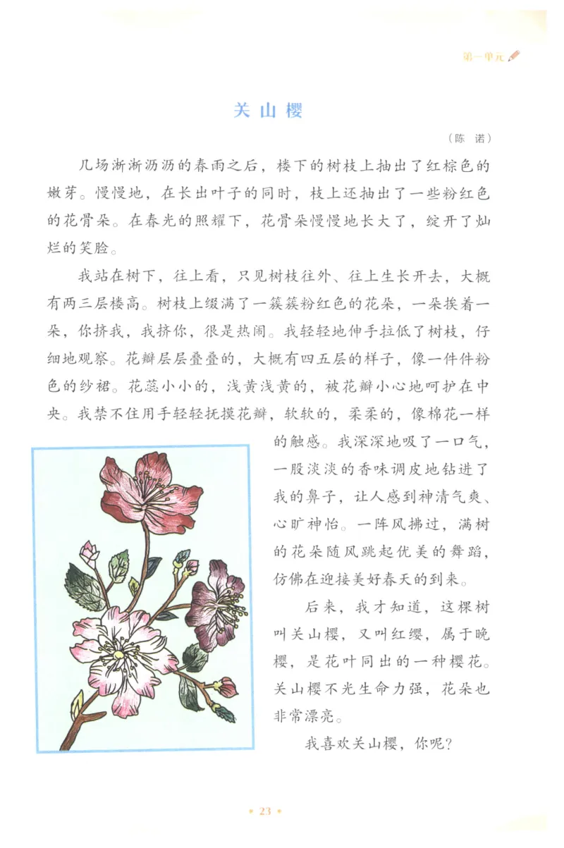 课文里的写作密码三年级下册_三年级上下册资料_小学三年级学习资料-25年更新版_3-02、小学三年级语文下册_3-2-1、学习资料、复习、知识点、归纳汇总_作文专项