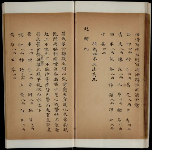 5_绝版书_天涯系列_t涯_绝版古籍电子书合集（13大类）_医书类_丸散膏丹神效十门