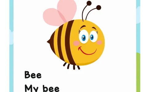 英语流利说1_一年级上下册资料_小学一年级学习资料-25年更新版_1-00、幼小衔接_幼小衔接英语启蒙篇