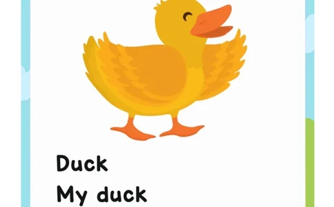 英语流利说1_一年级上下册资料_小学一年级学习资料-25年更新版_1-00、幼小衔接_幼小衔接英语启蒙篇