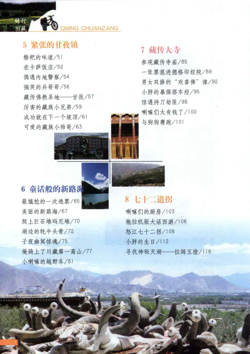 42.《骑行川藏》[大旗猎猎编著][武汉大学出版社][978-7-307-08130-7][2011.2][P258]_绝版书_天涯系列_t涯_《天涯神贴去水印纯干货收藏版-汇总版》天涯的干货[pdf]_天涯社区优质书籍