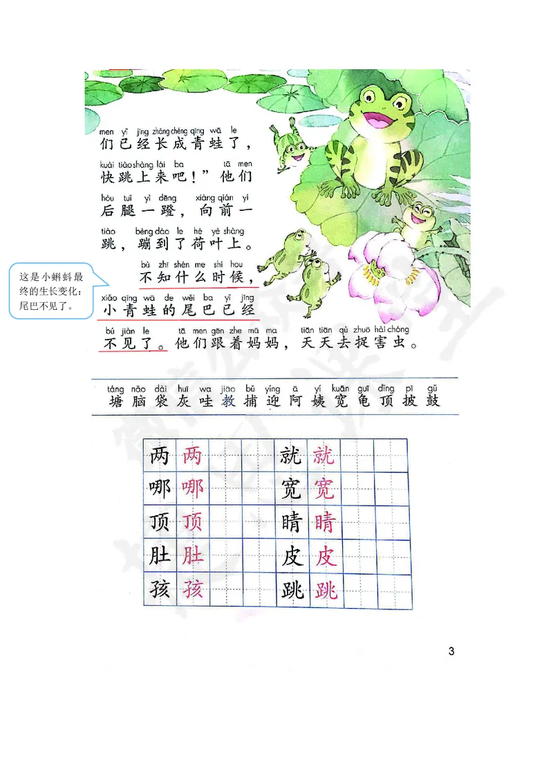 课堂笔记_二年级上下册资料_二年级语数英上下册学习资料_3-7-1、小学二年级语文上册_统编、部编、人教（语文全国统一只有一个版）_1、知识点总结_期末总复习