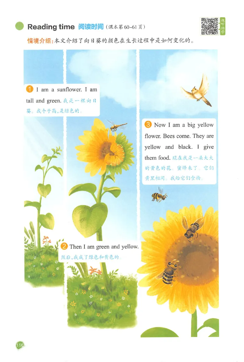 预习笔记三年级英语_25秋《一本预习笔记》语数外，人教，北师1-6上_25秋《一本预习笔记》英语人教pep3-6_三年级预习笔记英语人教