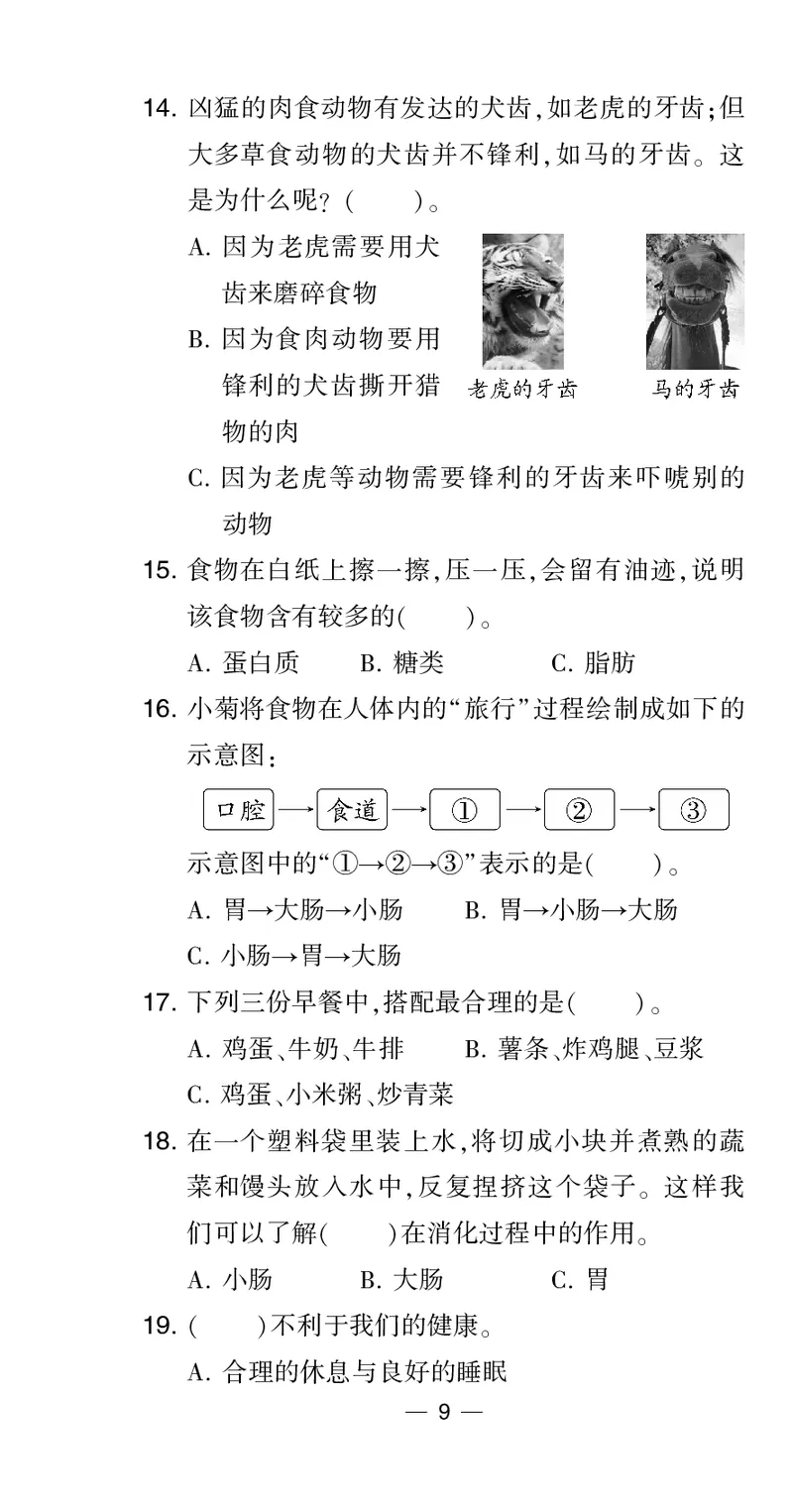 四年级科学上册教科版25秋《4星学霸提高班》_25秋小学语数英习题试卷_科学_教科版小学科学[4星学霸提高班]