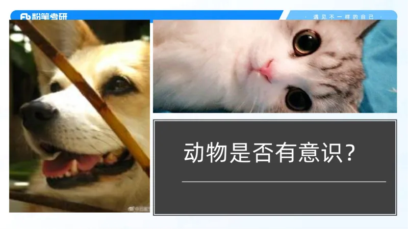 06.25课前讲义--马原基础课2_2026考公资料_（49）政治理论合集_政治理论合集_2025考研政治_09.粉笔_02.基础阶段_00.讲义