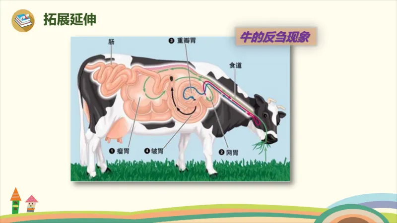 部编版小学三年级上册语文学习教案第3单元10《在牛肚子里旅行》_三年级上下册资料_小学三年级学习资料-25年更新版_3-01、小学三年级语文上册_3-1-3、课件、讲义、教案