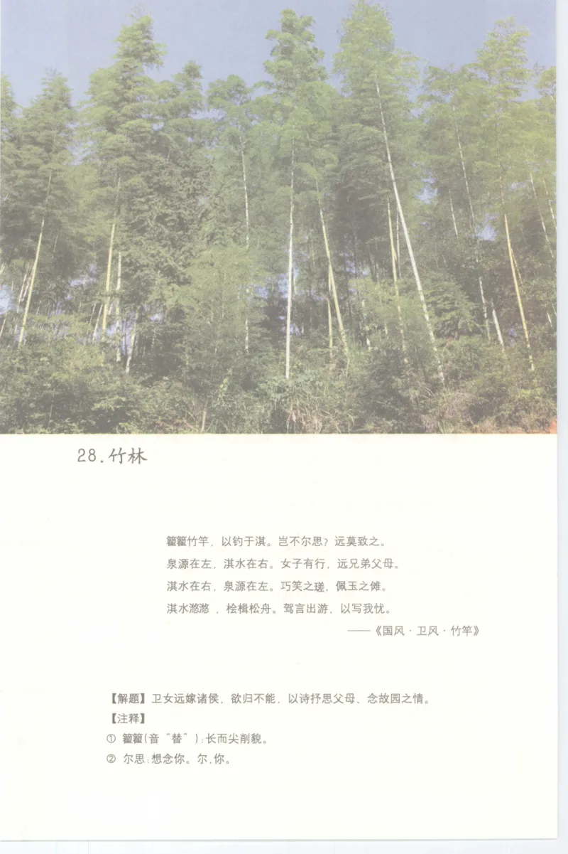 37.《美人如诗草木如织：诗经里的植物》[深圳一石编著][天津教育出版社][978-7-5309-4931-3][2007.7][P221]_绝版书_天涯系列_t涯_《天涯神贴去水印纯干货收藏版-汇总版》天涯的干货[pdf]