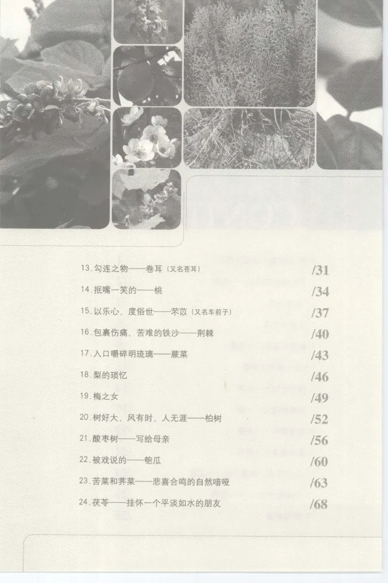 37.《美人如诗草木如织：诗经里的植物》[深圳一石编著][天津教育出版社][978-7-5309-4931-3][2007.7][P221]_绝版书_天涯系列_t涯_《天涯神贴去水印纯干货收藏版-汇总版》天涯的干货[pdf]