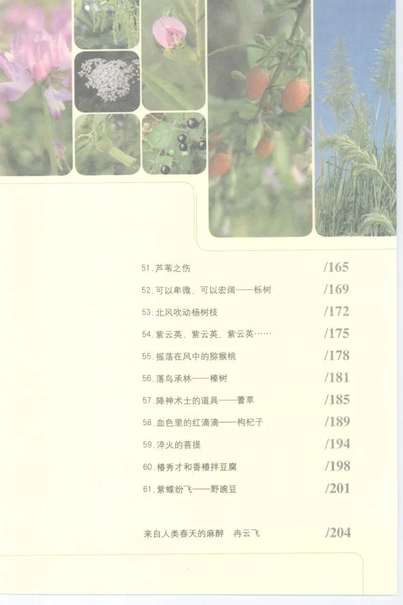 37.《美人如诗草木如织：诗经里的植物》[深圳一石编著][天津教育出版社][978-7-5309-4931-3][2007.7][P221]_绝版书_天涯系列_t涯_《天涯神贴去水印纯干货收藏版-汇总版》天涯的干货[pdf]