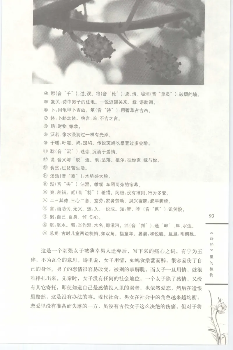 37.《美人如诗草木如织：诗经里的植物》[深圳一石编著][天津教育出版社][978-7-5309-4931-3][2007.7][P221]_绝版书_天涯系列_t涯_《天涯神贴去水印纯干货收藏版-汇总版》天涯的干货[pdf]