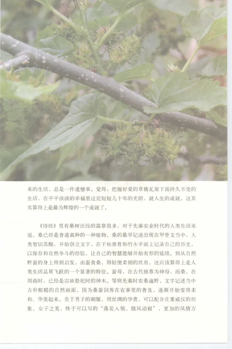 37.《美人如诗草木如织：诗经里的植物》[深圳一石编著][天津教育出版社][978-7-5309-4931-3][2007.7][P221]_绝版书_天涯系列_t涯_《天涯神贴去水印纯干货收藏版-汇总版》天涯的干货[pdf]