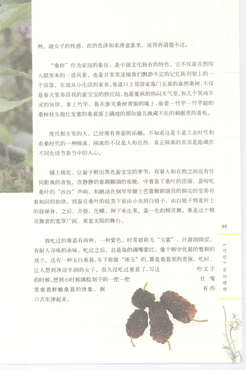 37.《美人如诗草木如织：诗经里的植物》[深圳一石编著][天津教育出版社][978-7-5309-4931-3][2007.7][P221]_绝版书_天涯系列_t涯_《天涯神贴去水印纯干货收藏版-汇总版》天涯的干货[pdf]