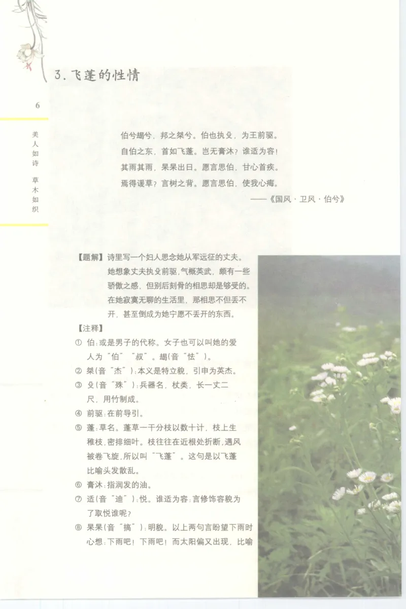 37.《美人如诗草木如织：诗经里的植物》[深圳一石编著][天津教育出版社][978-7-5309-4931-3][2007.7][P221]_绝版书_天涯系列_t涯_《天涯神贴去水印纯干货收藏版-汇总版》天涯的干货[pdf]